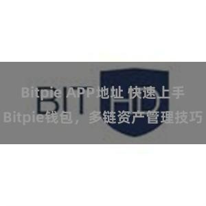 Bitpie APP地址 快速上手Bitpie钱包，多链资产管理技巧