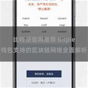 比特派官网推荐 Bitpie钱包支持的区块链网络全面解析