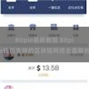 Bitpie最新教程 Bitpie钱包支持的区块链网络全面解析