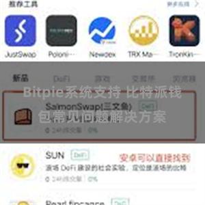 Bitpie系统支持 比特派钱包常见问题解决方案