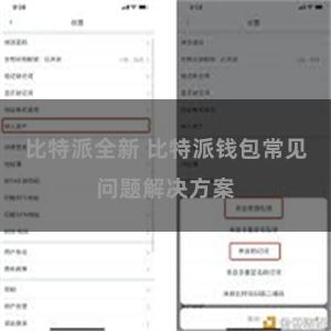 比特派全新 比特派钱包常见问题解决方案