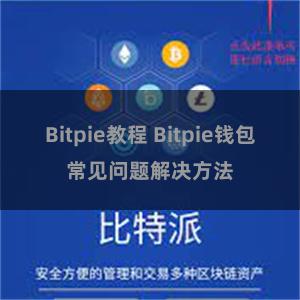 Bitpie教程 Bitpie钱包常见问题解决方法