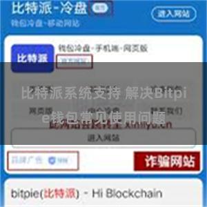 比特派系统支持 解决Bitpie钱包常见使用问题