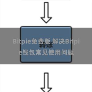 Bitpie免费版 解决Bitpie钱包常见使用问题