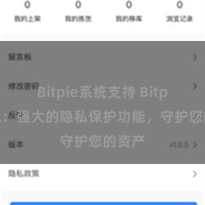 Bitpie系统支持 Bitpie钱包：强大的隐私保护功能，守护您的资产