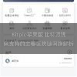 Bitpie苹果版 比特派钱包支持的主要区块链网络解析