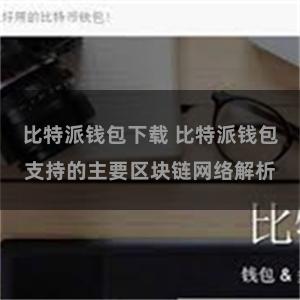 比特派钱包下载 比特派钱包支持的主要区块链网络解析