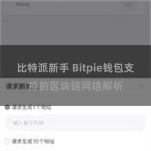 比特派新手 Bitpie钱包支持的区块链网络解析