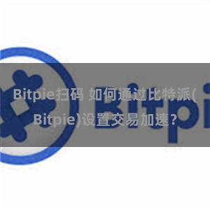 Bitpie扫码 如何通过比特派(Bitpie)设置交易加速？