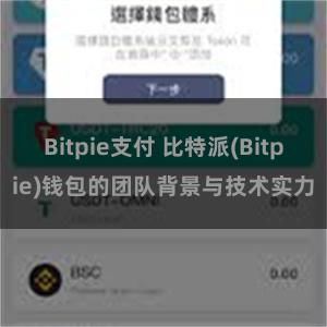 Bitpie支付 比特派(Bitpie)钱包的团队背景与技术实力