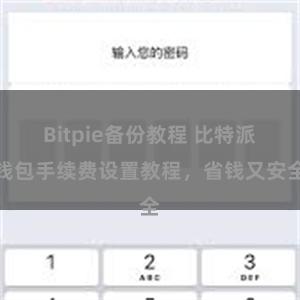 Bitpie备份教程 比特派钱包手续费设置教程，省钱又安全