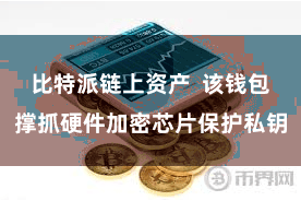 比特派链上资产 该钱包撑抓硬件加密芯片保护私钥